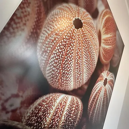 Apartamento A-mare *